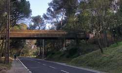 Carmo Wood constrói nova ponte em Monsanto