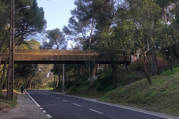 Carmo Wood constrói nova ponte em Monsanto