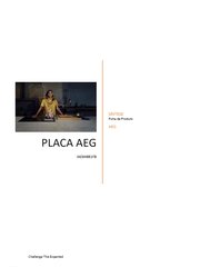 AEG - Placa