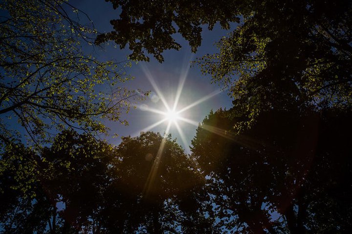 Porto cria nova comunidade energética renovável