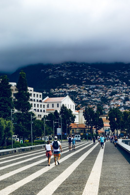 Funchal dá luz verde a 71 novas casas sociais