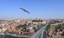 JOM investe €20M em construção para arrendamento no Porto
